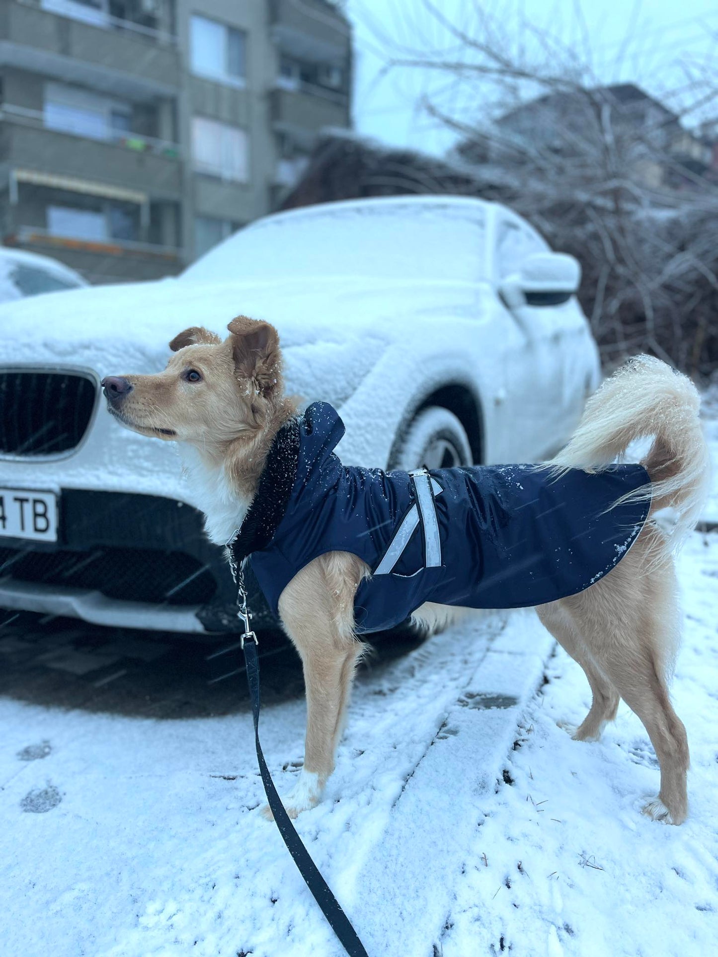 Непромокаемо яке "Satin Blue"