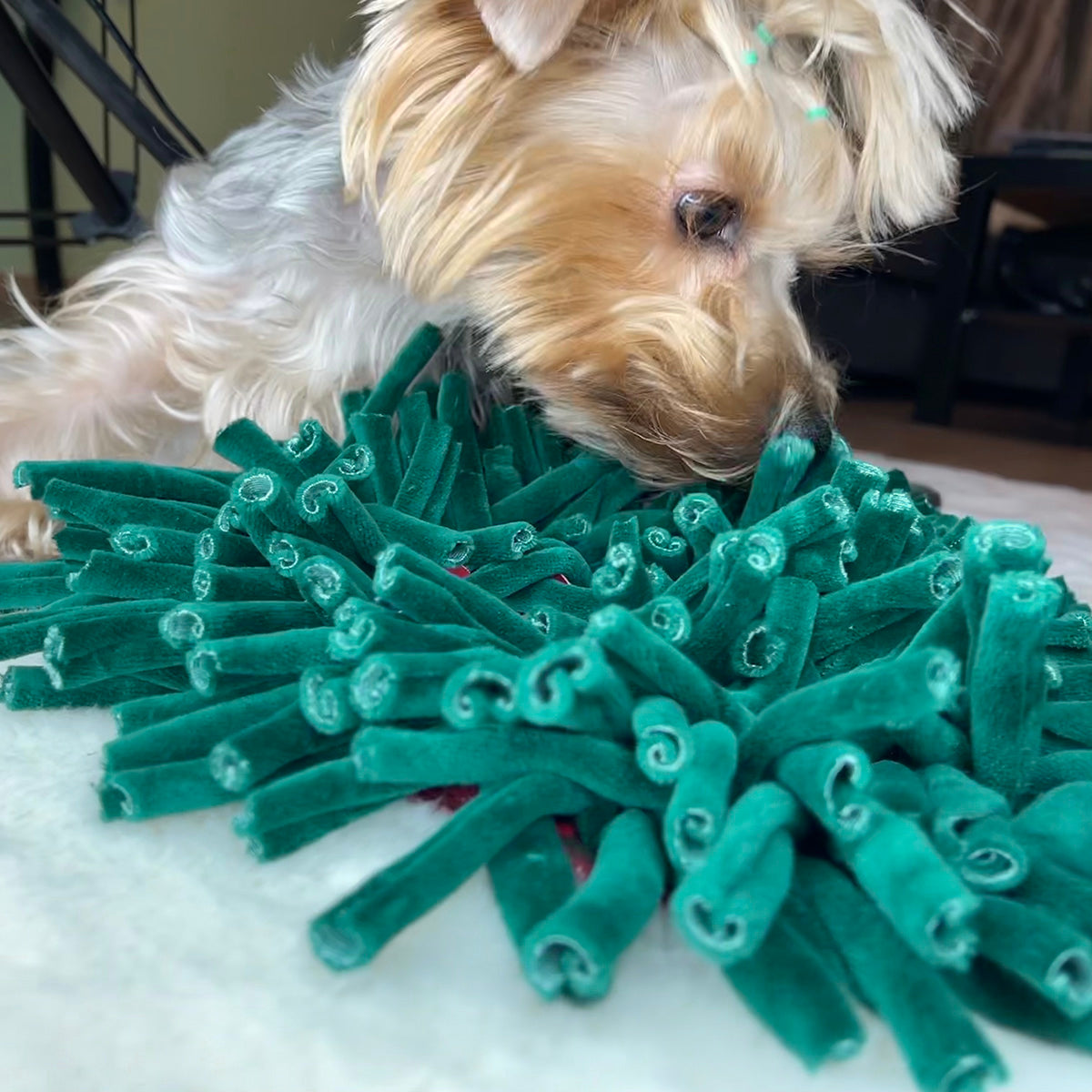 Snuffle Mat "Garden"