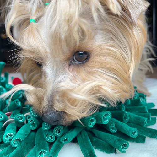 Snuffle Mat "Garden"